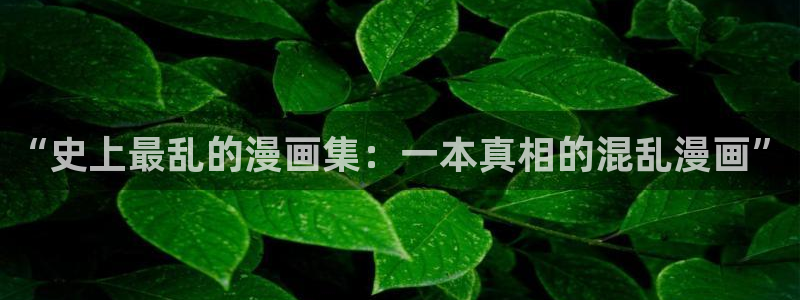 香蕉漫画搞笑：“史上最乱的漫画集：一本真相的混乱漫画”