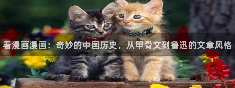 香蕉文化漫画官网：看漫画漫画：奇妙的中国历史，从甲骨文到鲁迅的文章风格
